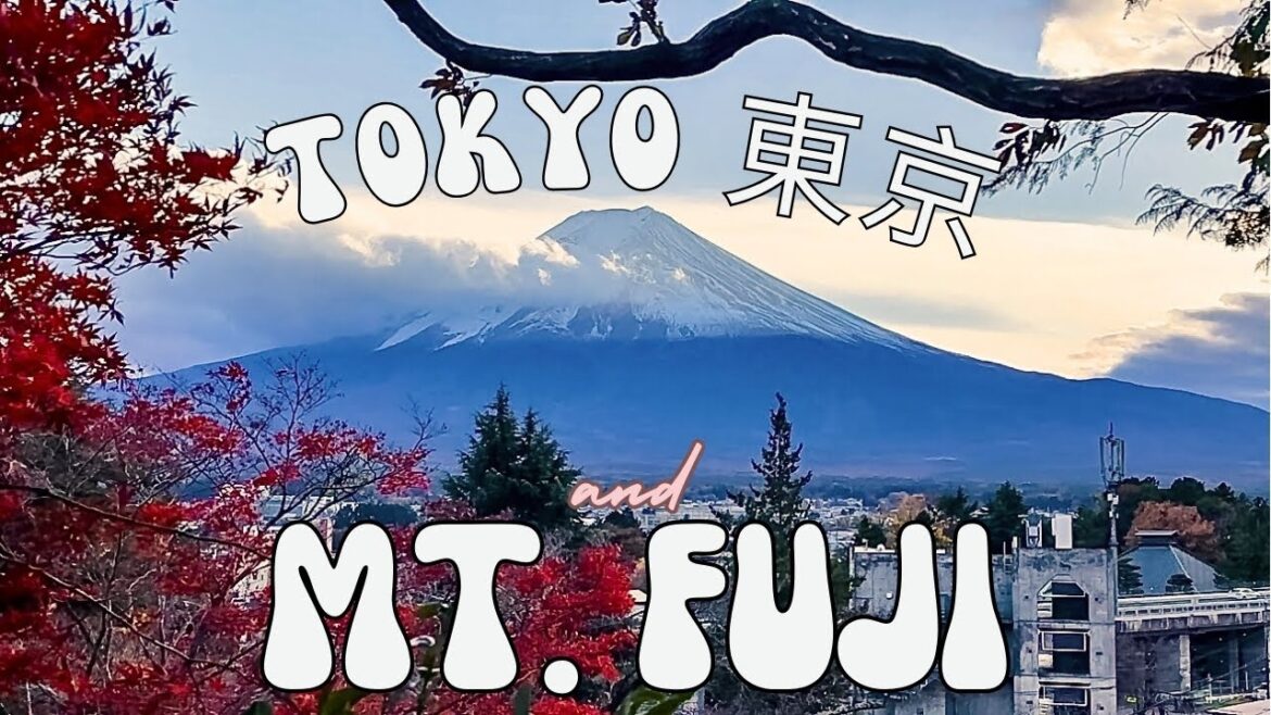 Tokyo: Day Trip to Mt. Fuji l Thickest Tonkatsu in Japan l Autumn Trees l Harry Potter l Tsukemen Tokyo: Day Trip to Mt. Fuji l Thickest Tonkatsu in Japan l Autumn Trees l Harry Potter l Tsukemen