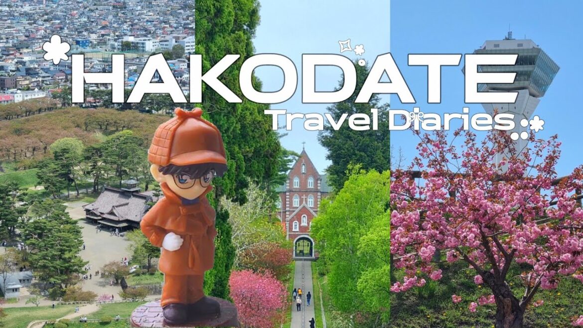 Hokkaido vlog. 코난 성지순례를 위해 떠난 나홀로 하코다테(函館) 여행 다이어리 ep.2 👓홋카이도 인생 스프카레. MOning vlog