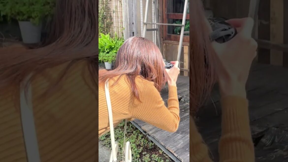 フィルムカメラを持って和歌山の大新地区を街ブラ!#shorts フィルムカメラを持って和歌山の大新地区を街ブラ!#shorts