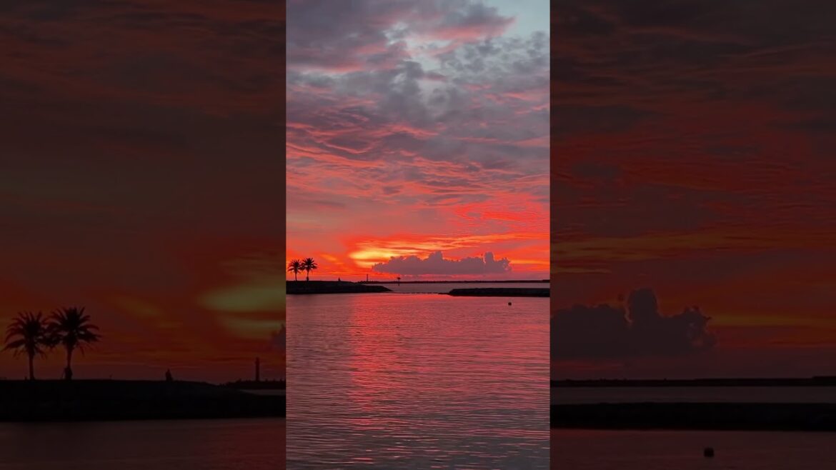 Sunsets in Okinawa, Japan 🌅 #okinawa #okinawanfood #okinawajapan #japan