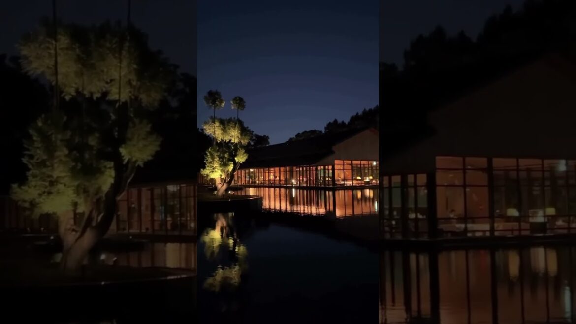 Experience Pure Serenity in Our Tranquil Kyoto Retreat🌿🏞️ #shorts #travel #kyoto