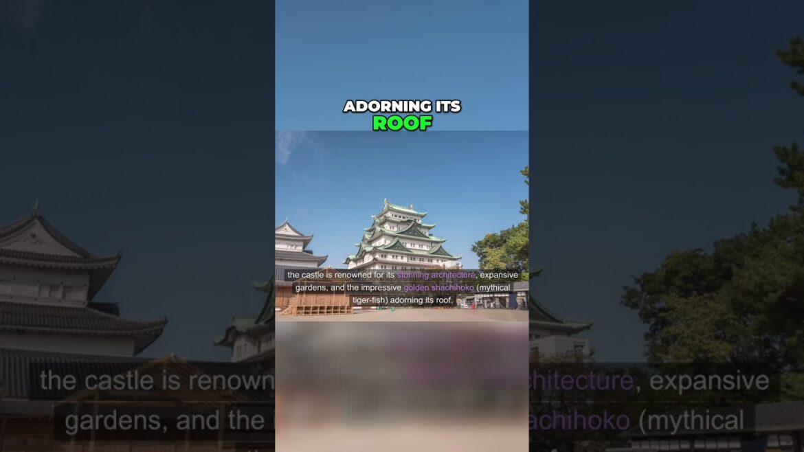 Discover Nagoya Castle: Japan's Majestic Feudal Marvel