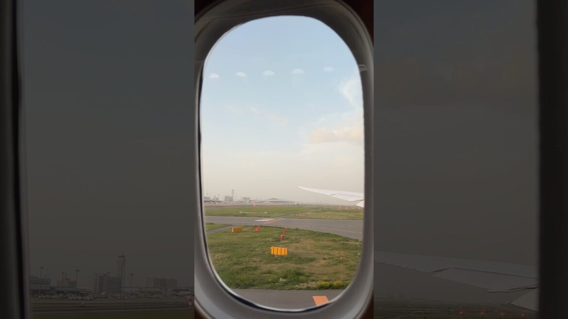 FLY WITH ME Japan Airlines Economy Class Review! Kansai Airport #travel #japan #japanairlines