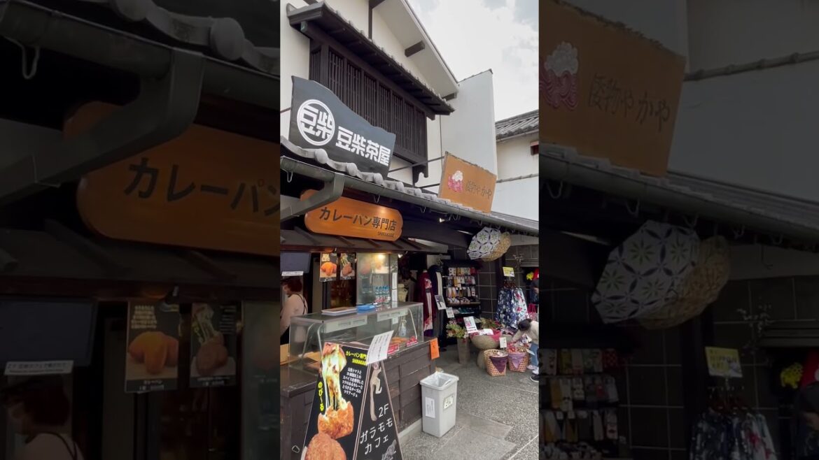 ［旅行］岡山☀️倉敷美観地区を探訪🚶‍➡️