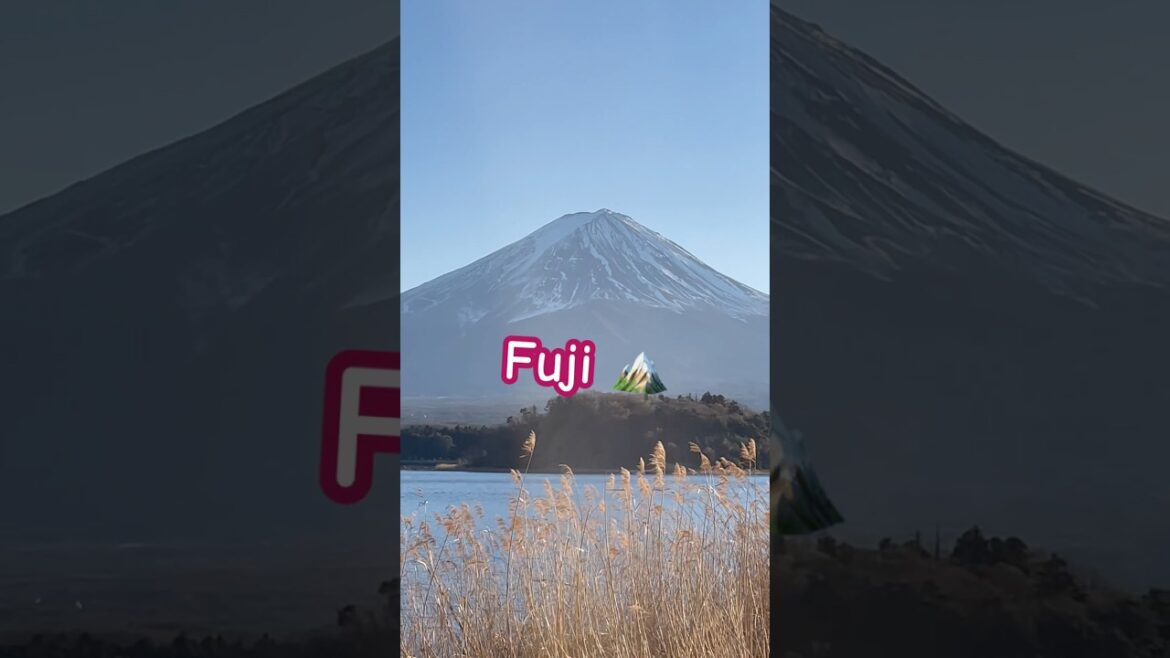 #fuji #mountfuji #kawaguchiko #japan #tokyotravel #shibuya #travel #