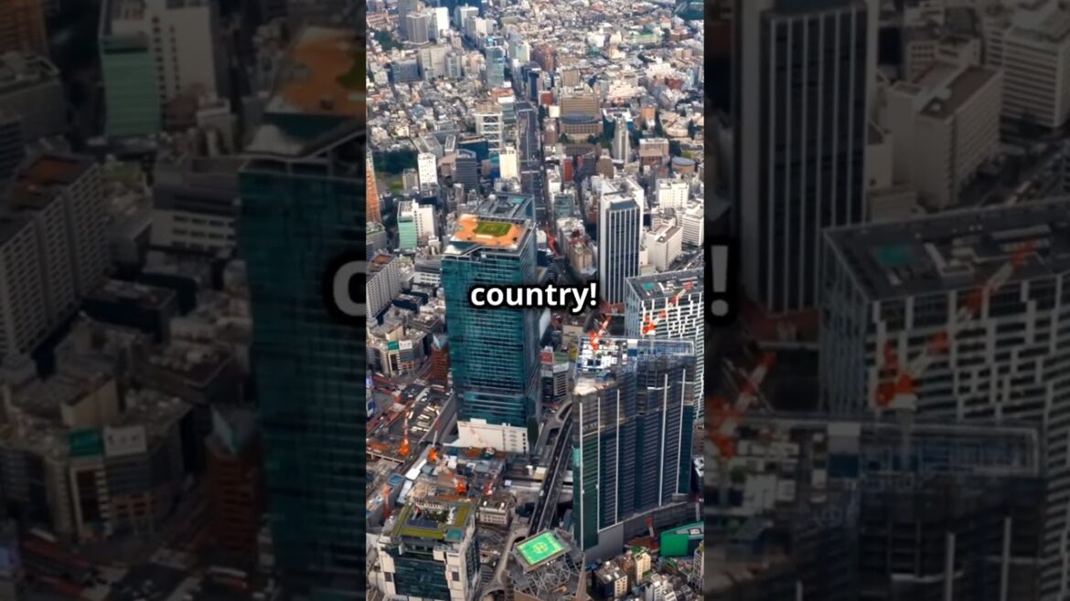 Tokyo hidden gems😱#information #wondersoftheworld#hiddengems #travel #worldwonder#tokyo #travelideas
