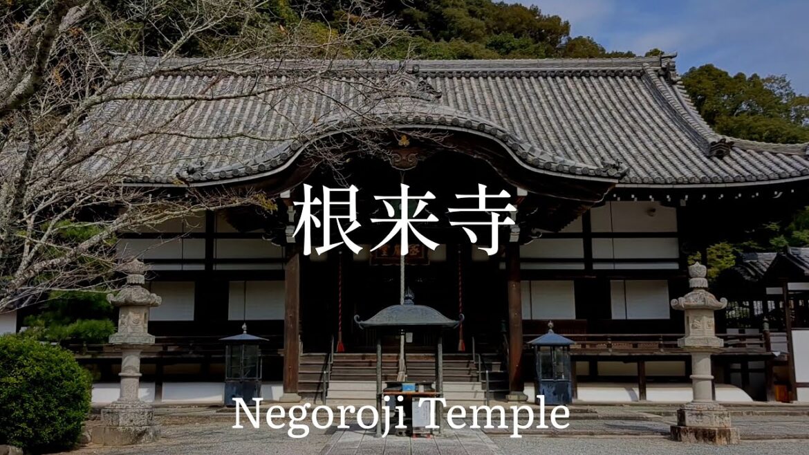 和歌山県観光 傭兵根来衆 根来寺 Wakayama Prefecture Tourism: Negoro Mercenary Group, Negoro Temple, Japan 和歌山県観光 傭兵根来衆 根来寺 Wakayama Prefecture Tourism: Negoro Mercenary Group, Negoro Temple, Japan