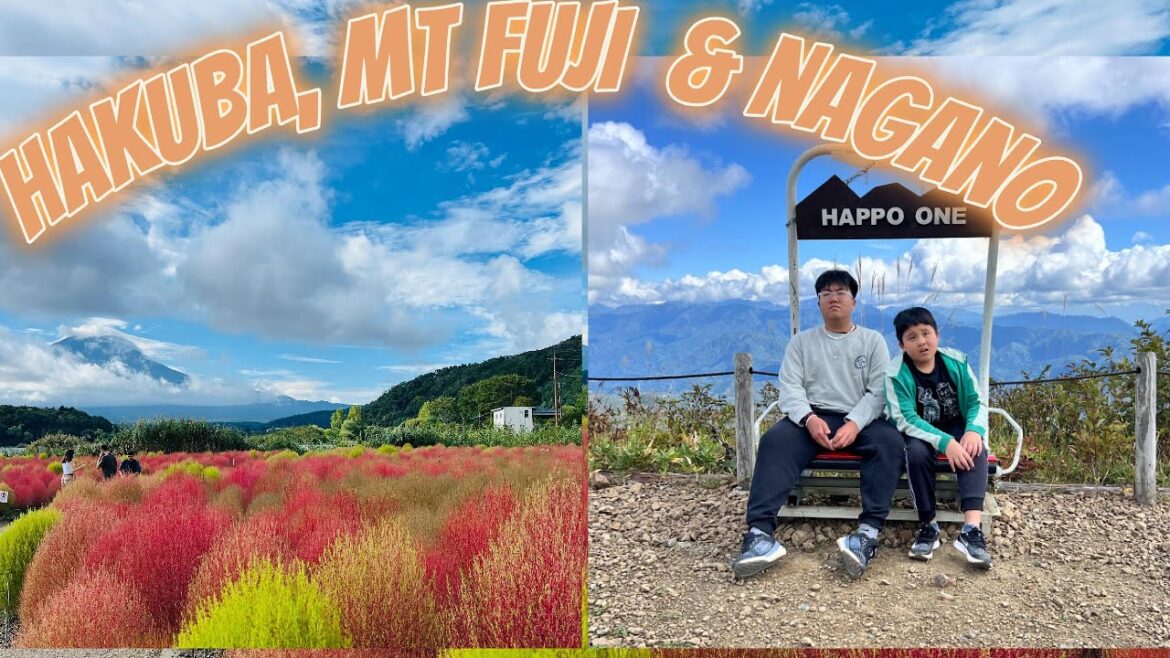 How we travel the Japanese countryside: Hakuba, Mt Fuji, Snow monkey park, Wasabi farm + Don Quijote