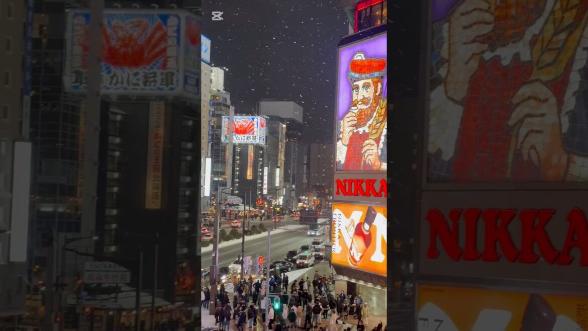 Sapporo❄️☃️                                          #japan #sappororamen #snowfall #shorts