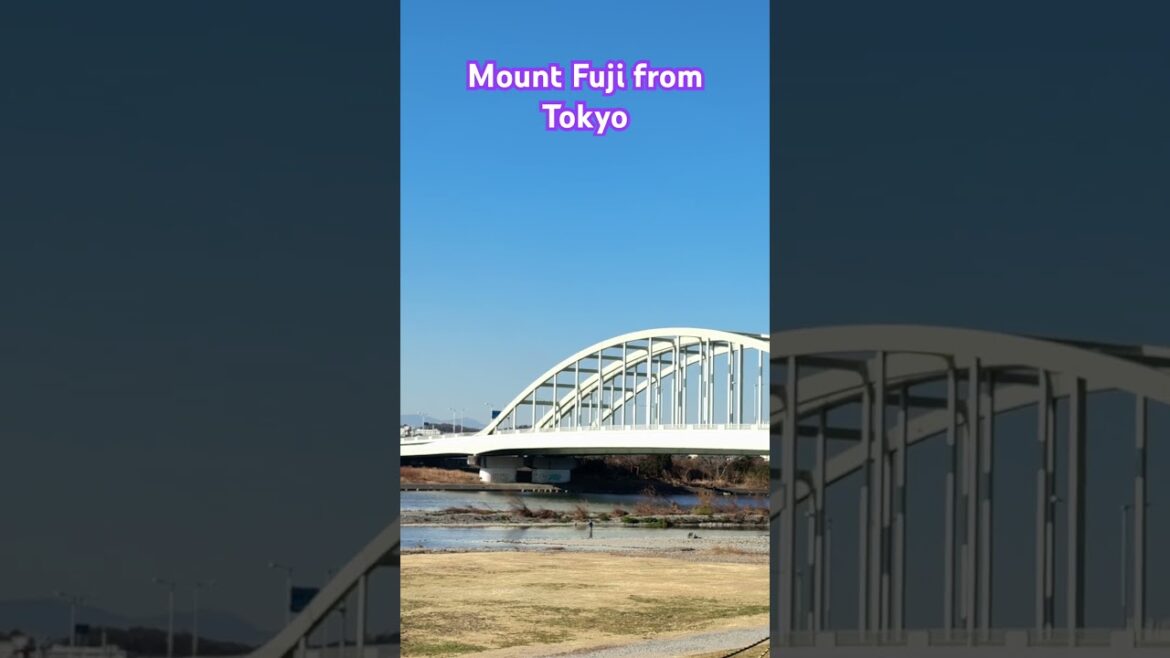 Mount Fuji from Tokyo #mountfuji #tokyo #travel #japan #travel #tokyotravel #mountains