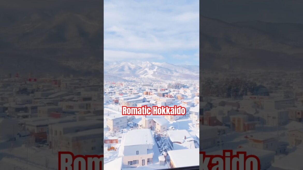 Hokkaido after the snow is so romantic that it makes me cry😭 #winter #japan #hokkaido #travel