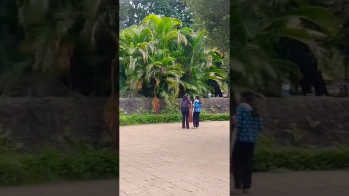 Pune Okayama Friendship Garden😍#travel #youtubeshorts #pune #shorts#garden#nature#naturelovers #yt