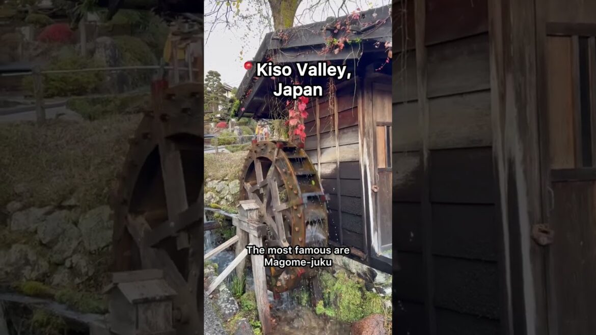 HIDDEN GEMS to discover before they become famous: KISO VALLEY, JAPAN! #travelhiddengem #japan