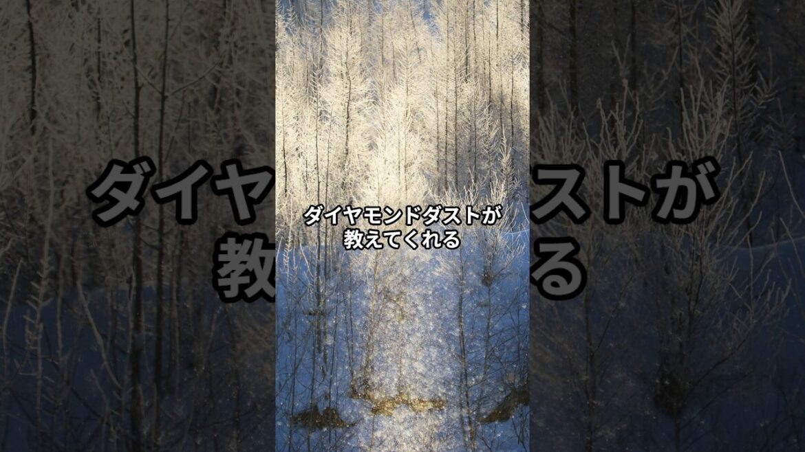 【富良野観光物語】vol.255⭐︎ダイヤモンドダストが教えてくれる小さな奇跡を見つける方法　#shorts #furano #snow #winterseason #50代からの生き方