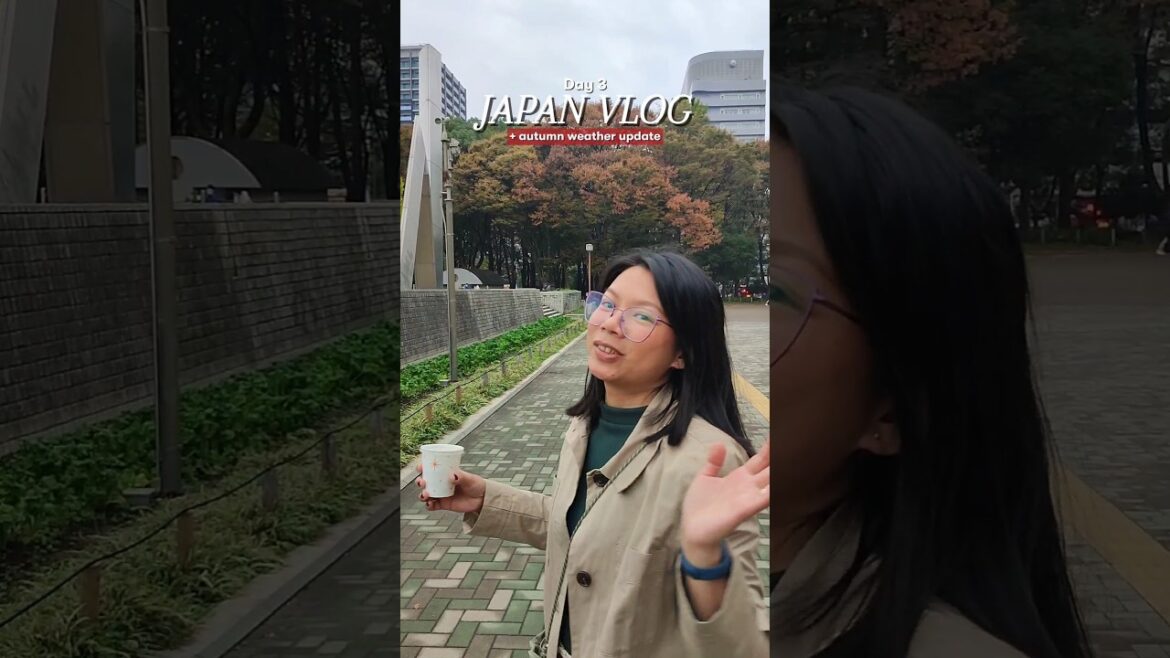 Japan vlog day 3 Nagoya with autumn weather update #japantravel #japanvlog #japantips #autumn #japan