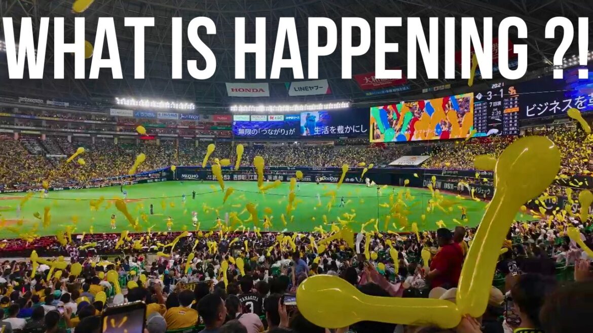 Our First Time at a Japanese Baseball Game...We NEVER expected this!