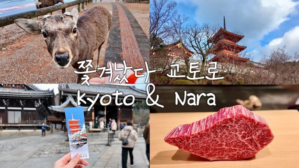 ๐ฏ๐ต๊ตํ ๊ฐ ์ต๊ณ ์ผ | ๊ตํ & ๋๋ผ ๋น์ผ์น๊ธฐ | ๋๋ผ ์ฌ์ด ๊ณต์ | ์๊ท ๋ฐํ์ผ๋ผ | ์ฒญ์์ฌ | ๋์ํค ์์ฅ | ์คํ๋ฒ
์ค ๊ตํ | ์ผ๋ณธ ๋ผ๋ฉ ๐ฏ๐ต๊ตํ ๊ฐ ์ต๊ณ ์ผ | ๊ตํ & ๋๋ผ ๋น์ผ์น๊ธฐ | ๋๋ผ ์ฌ์ด ๊ณต์ | ์๊ท ๋ฐํ์ผ๋ผ | ์ฒญ์์ฌ | ๋์ํค ์์ฅ | ์คํ๋ฒ
์ค ๊ตํ | ์ผ๋ณธ ๋ผ๋ฉ