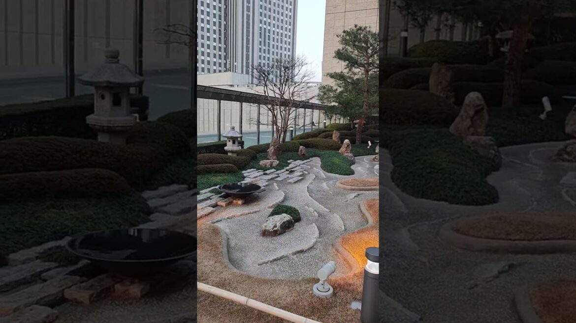 Osaka from a height | Free observation deck #japan #travel #freeview #sightseeing #free #Osaka