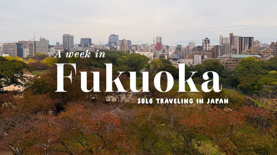 A week in Fukuoka – Solo traveling in Japan 🇯🇵 Omakase, Yatai, Pokemon Go Wild Area A week in Fukuoka - Solo traveling in Japan 🇯🇵 Omakase, Yatai, Pokemon Go Wild Area