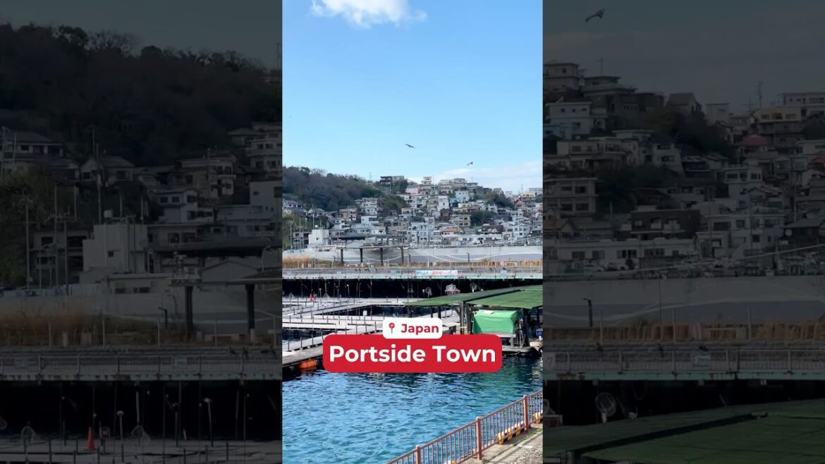 Dreamy portside vibes? Wakanoura is the place! π Dreamy portside vibes? Wakanoura is the place! π