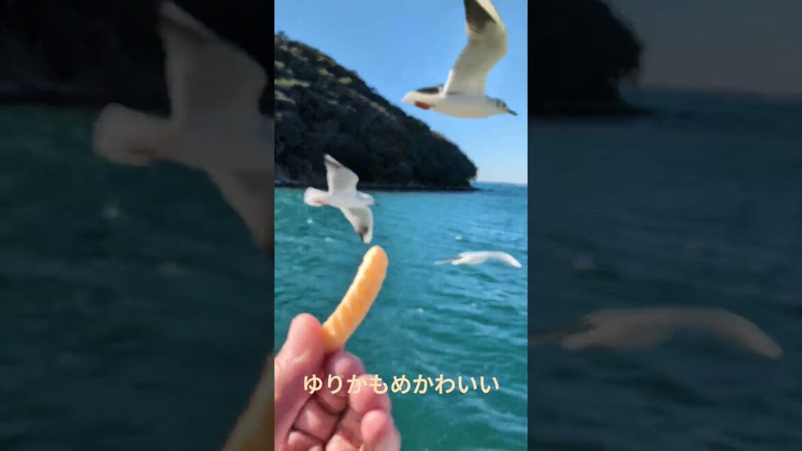 浜名湖遊覧船