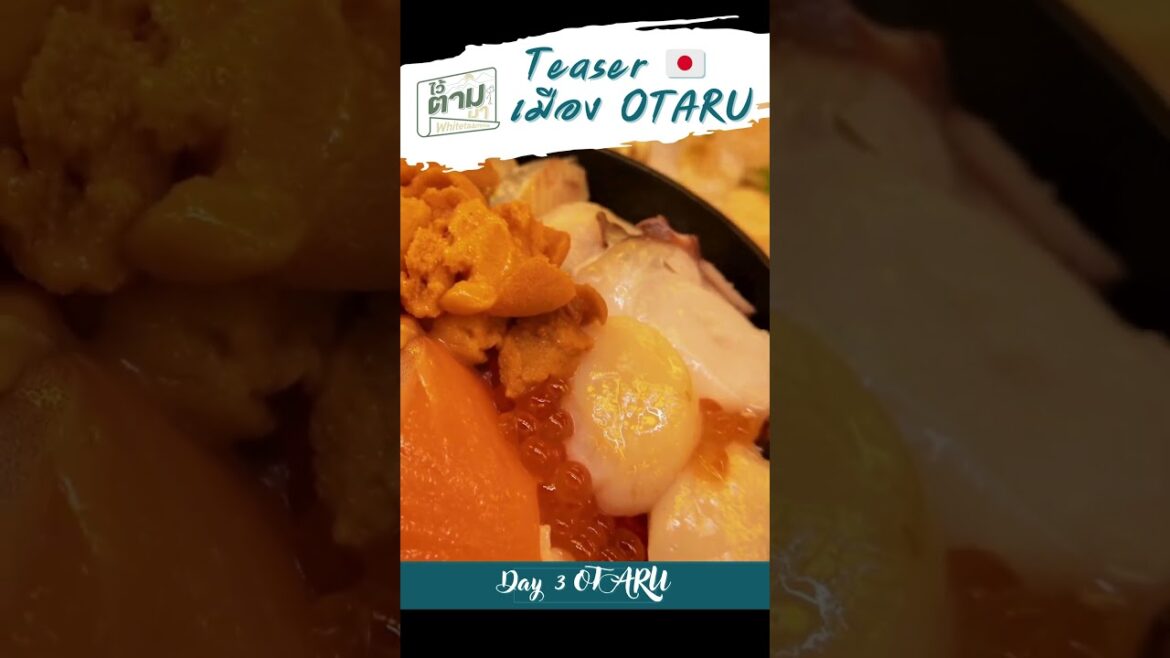 เมืองติดทะเล OTARU ซัปโปโระ🇯🇵 #sapporo #travel #hokkaido #เที่ยวซัปโปโร #เที่ยวฮอกไกโด #โอตารุ