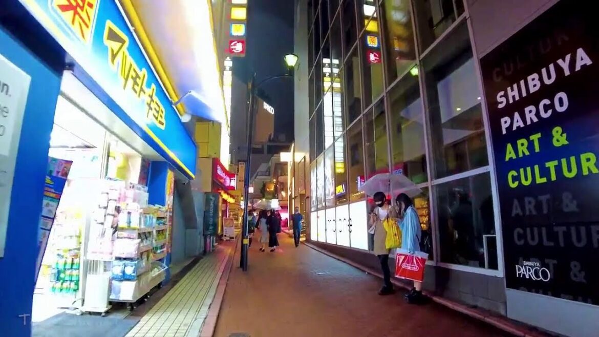 🔴Tokyo Winter Walk 24/7🐶Ikebukuro, Akihabara, Shinjuku, etc.💖