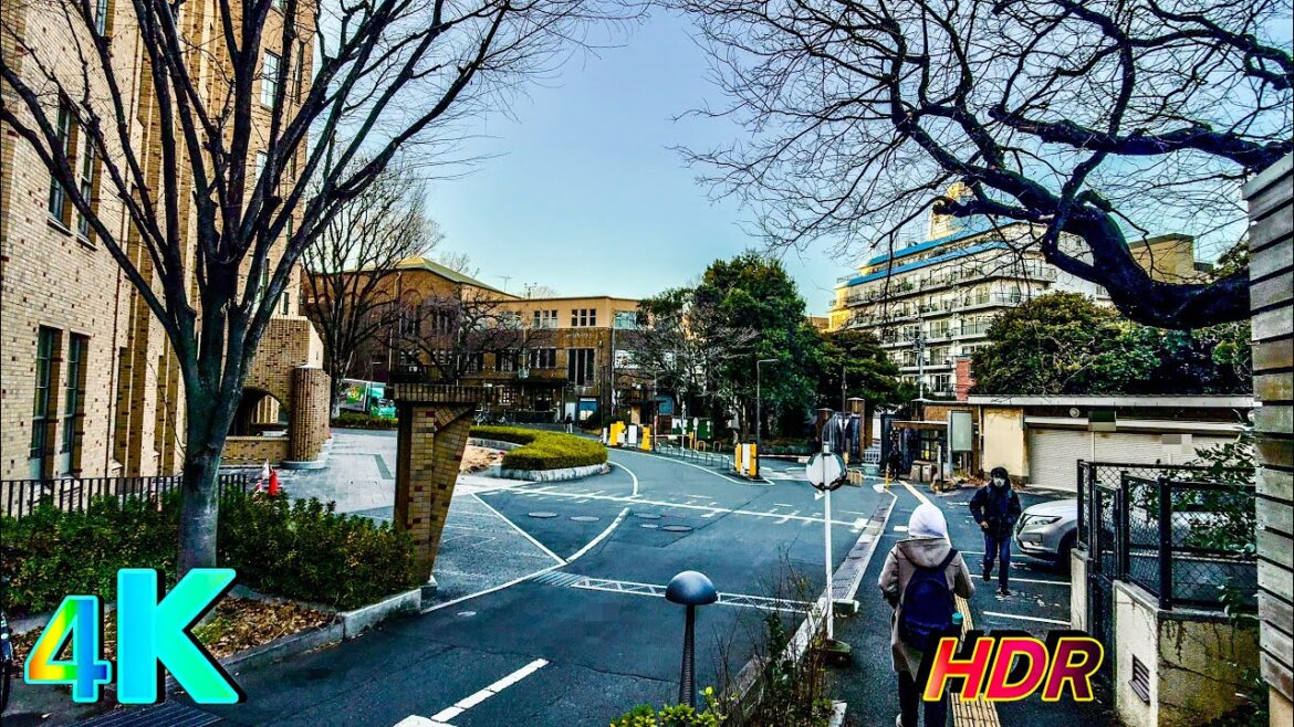Exploring Nezu, Tokyo: Japan’s Historic Neighborhood | 4K HDR walking tour Exploring Nezu, Tokyo: Japan’s Historic Neighborhood | 4K HDR walking tour