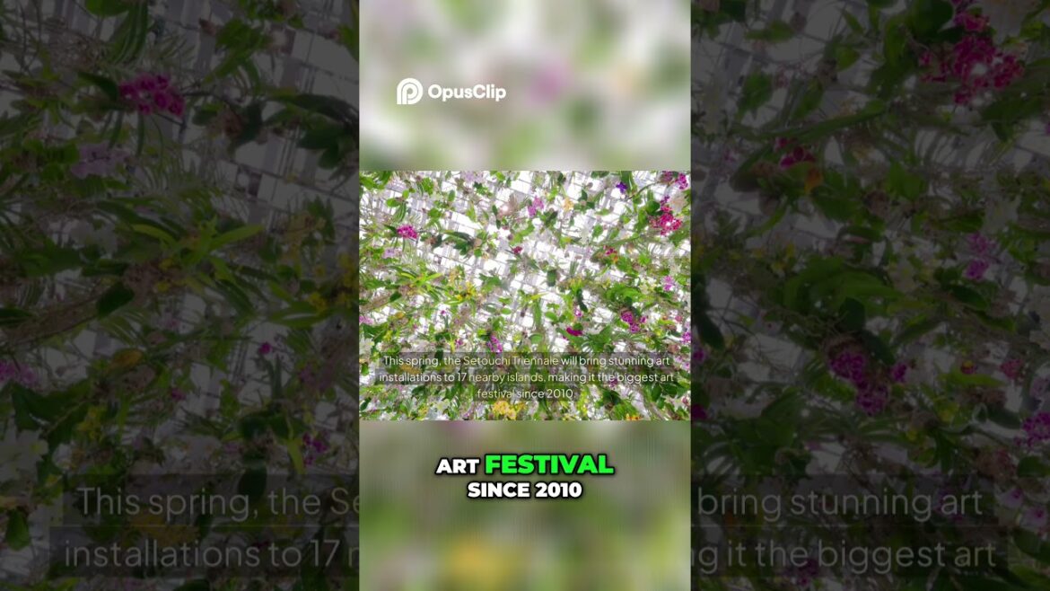 Naoshima’s Art Transformation  Must See Attractions in 2025