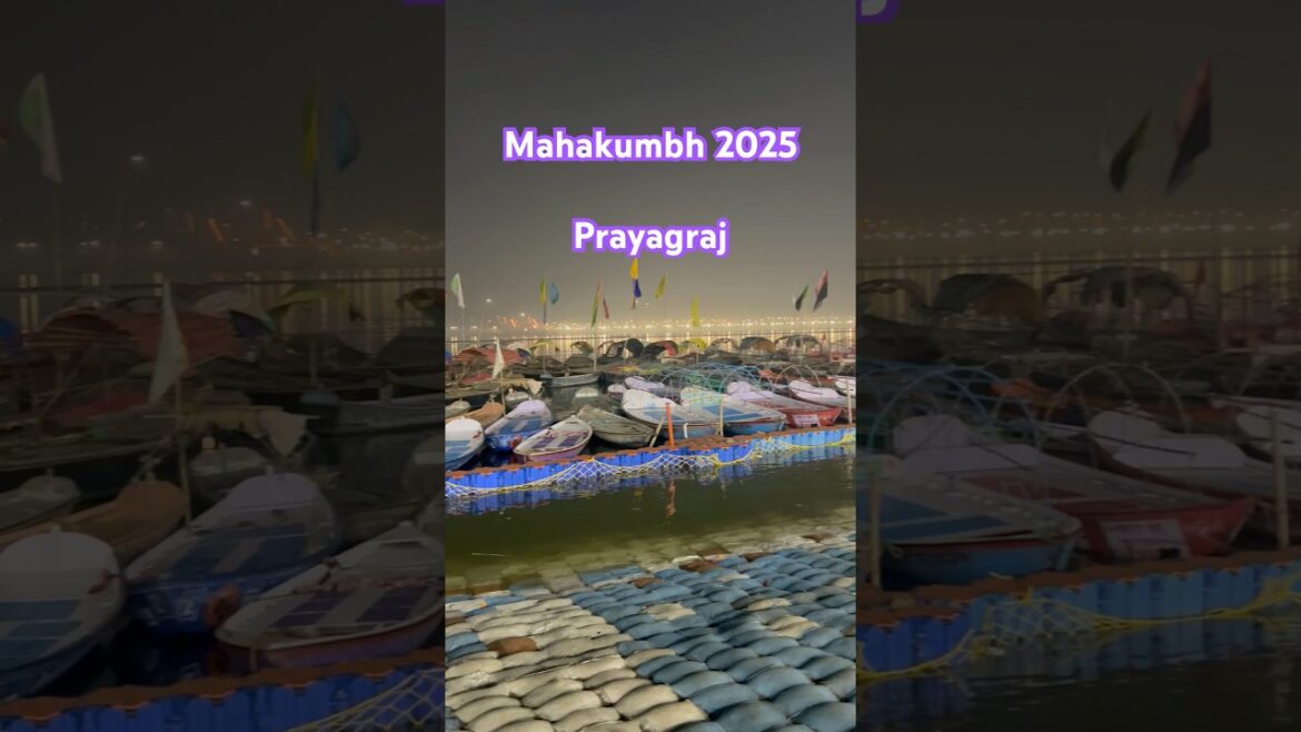 Mahakumbh 2025 | Prayagraj #mahakumbh2025