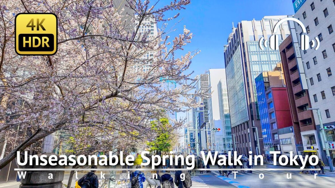 Cherry Blossoms Already?! Unseasonable Tokyo Spring Walk [4K/HDR/Binaural]