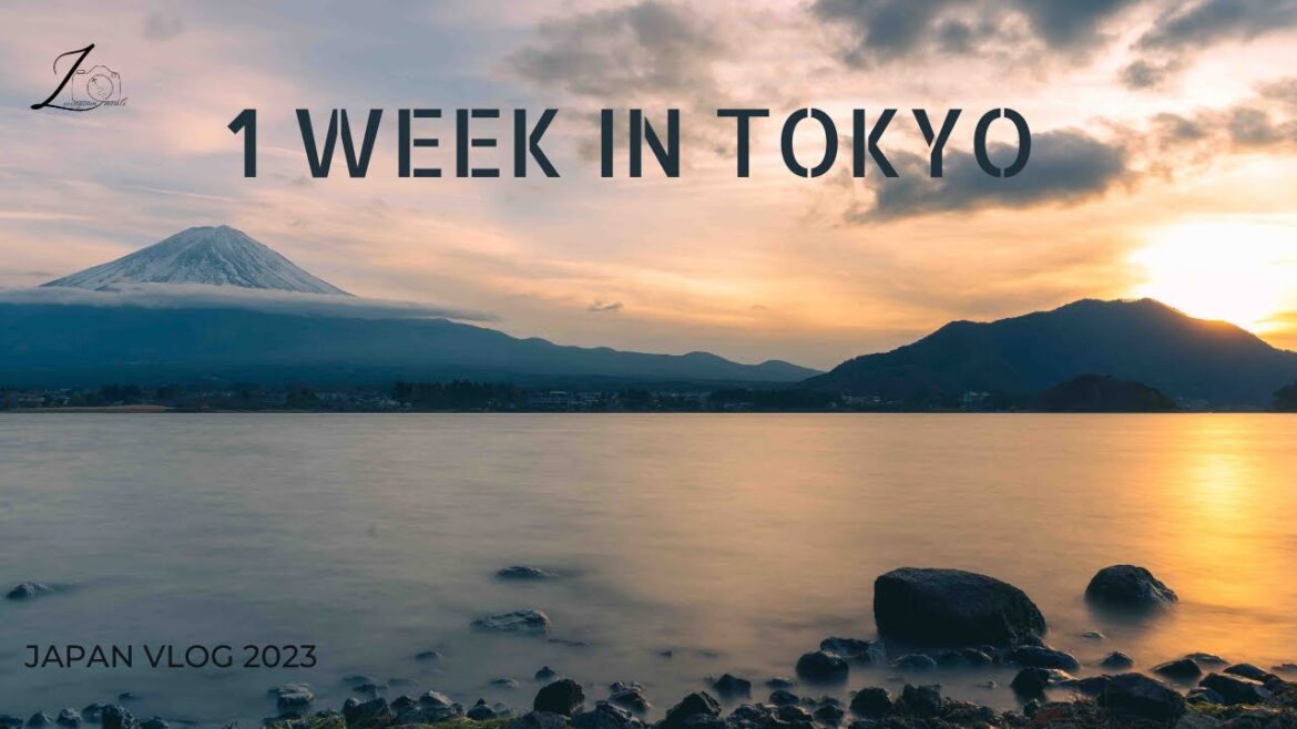 Chasing FUJISAN in TOKYO, JAPAN (CINEMATICS SLOG) Autumn/Winter 2023