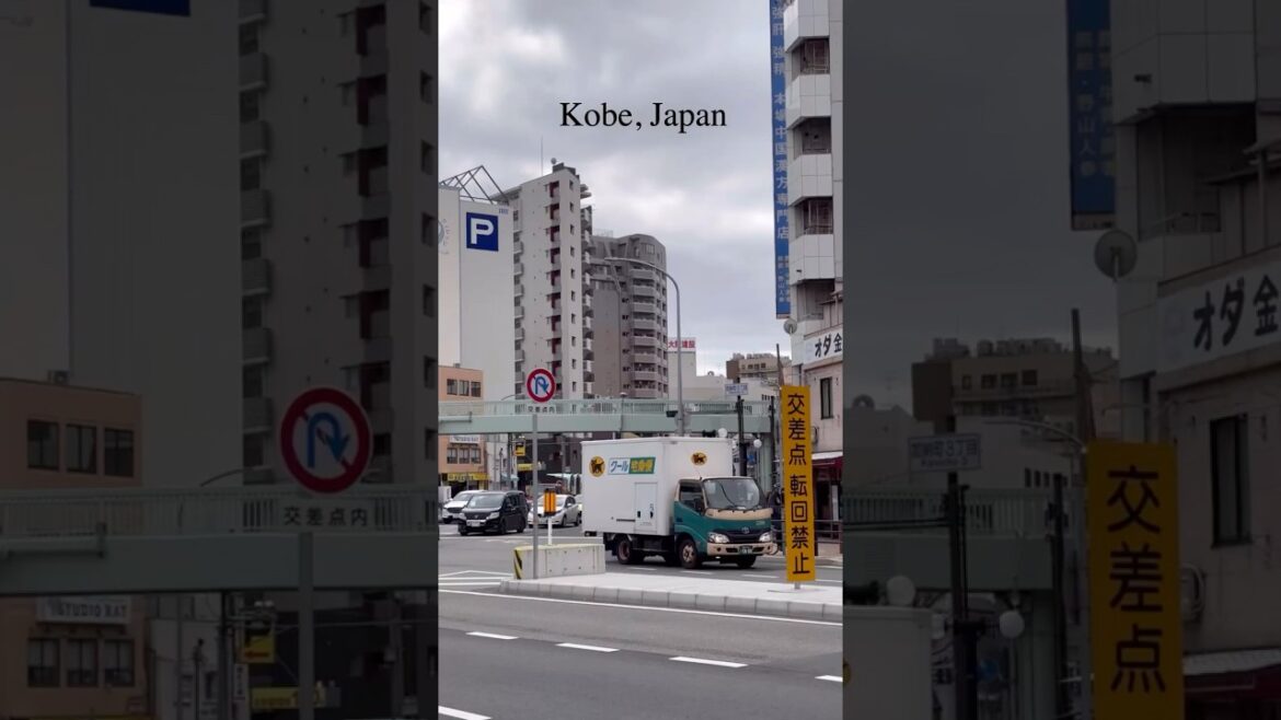 일본 고베 여행 느좋 거리들
