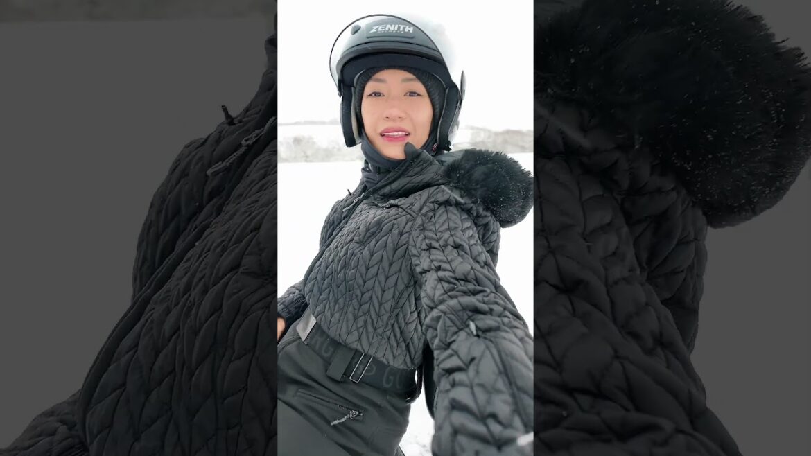 Ski Mobile in Niseko  ❄️