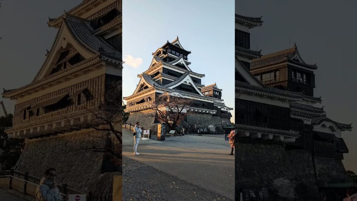 2024 冬季的熊本城 #kumamoto #travel #kumamotojo