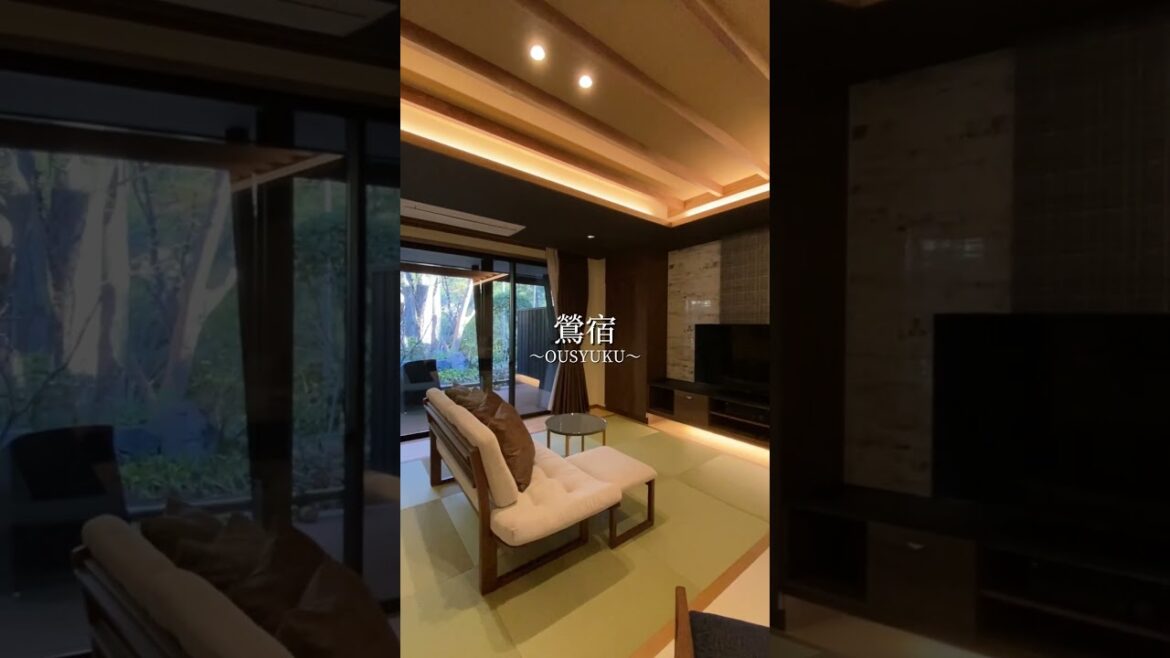新設されたリバーサイド1階「鶯宿（おうしゅく）」のお部屋の様子です。伊豆月ヶ瀬ならではの美しい景色をお楽しみいただけます。#月ヶ瀬温泉雲風々 #旅行 #温泉 #旅館 #shorts