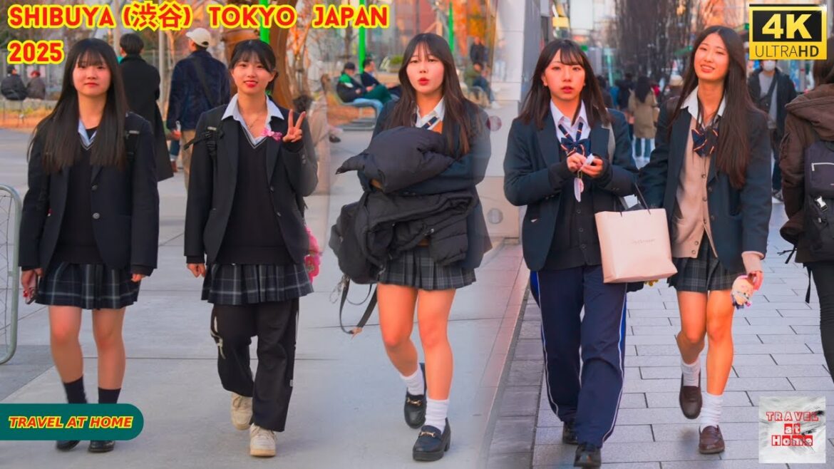 4k hdr Japan travel 2025 | Walk in Shibuya (渋谷) Tokyo Japan | Relaxing Natural City ambience 4k hdr Japan travel 2025 | Walk in Shibuya (渋谷) Tokyo Japan | Relaxing Natural City ambience