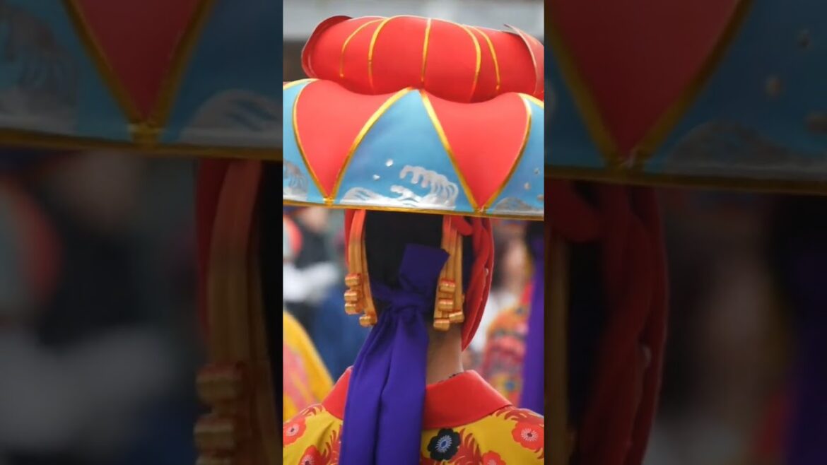 #Okinawa Cherry Blossom Festival #Okinawa Cherry Blossom Festival