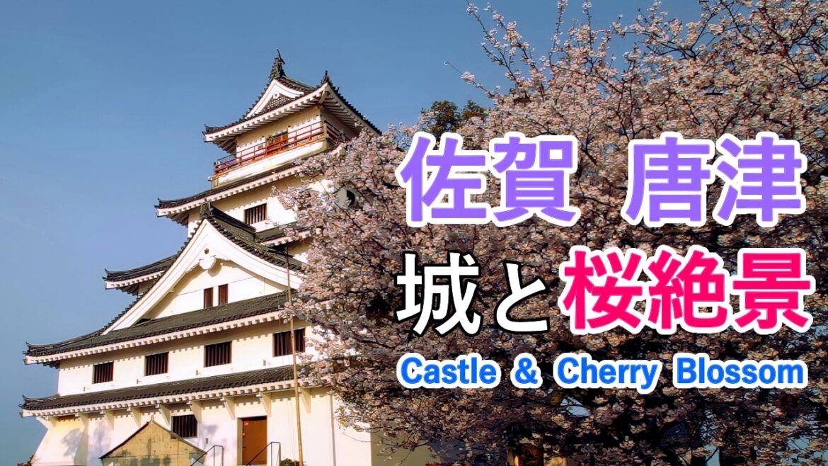 【お城と桜】佐賀県・唐津の桜名所！ 唐津城と鏡山 / Castle and Cherry Blossoms - Karatsu Castle and Kagamiyama [ 4K ]