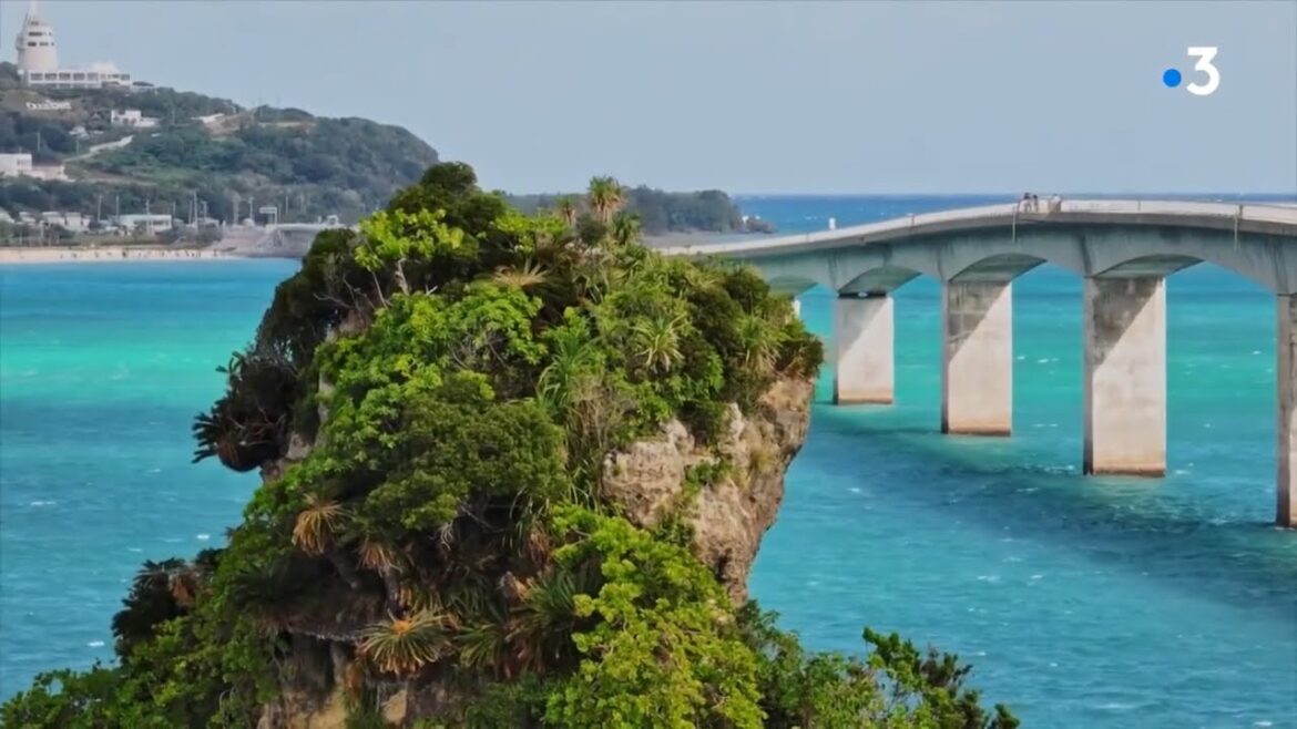 Dive into Okinawa’s Stunning Coral Reefs with Julien 🌊 – From Marmande, France to Okinawa, Japan Dive into Okinawa’s Stunning Coral Reefs with Julien 🌊 - From Marmande, France to Okinawa, Japan