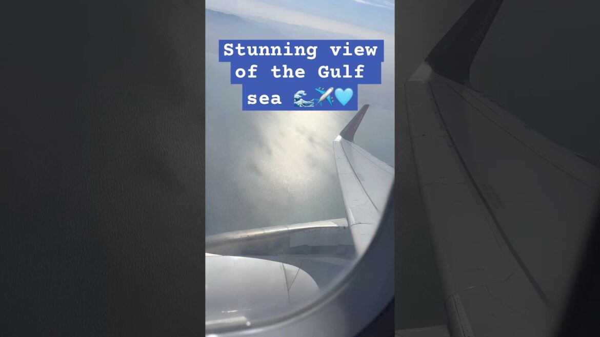 A stunning view of Gulf sea 🌊 ✈️🛫 #airlines #trending #viralshorts #explorepage #flyaways