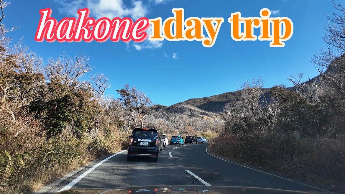 hakone day trip from tokyo