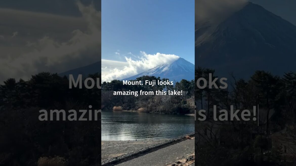 Day Tour at Mt. Fuji, Japan | Dec 28, 2024 | Part 06 #shorts