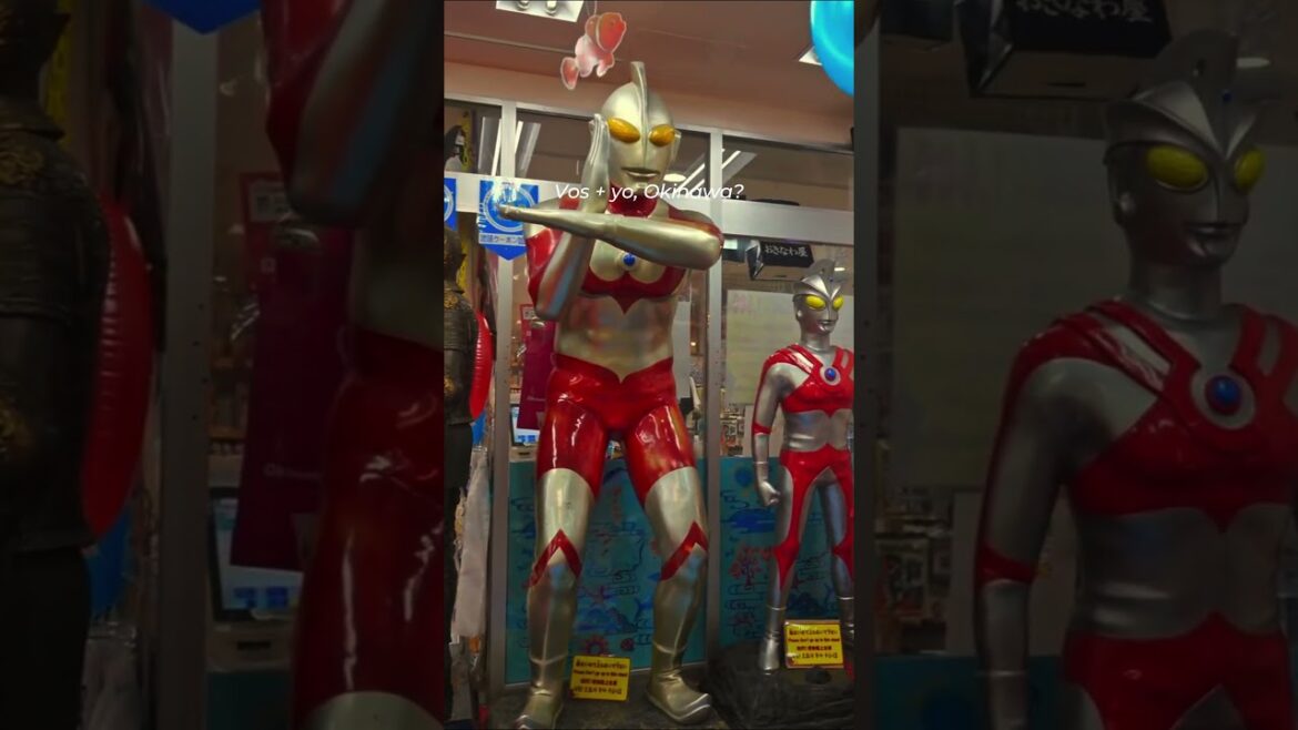 Okinawa, Japón 🇯🇵. #okinawa #japan #japanese #travel #viajes #playas Okinawa, Japón 🇯🇵. #okinawa #japan #japanese #travel #viajes #playas