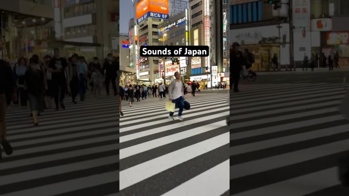 Missing Japan? #marinjapan #japan #japantravel #shinjuku #soundsofjapan #nostalgia #nostalgic