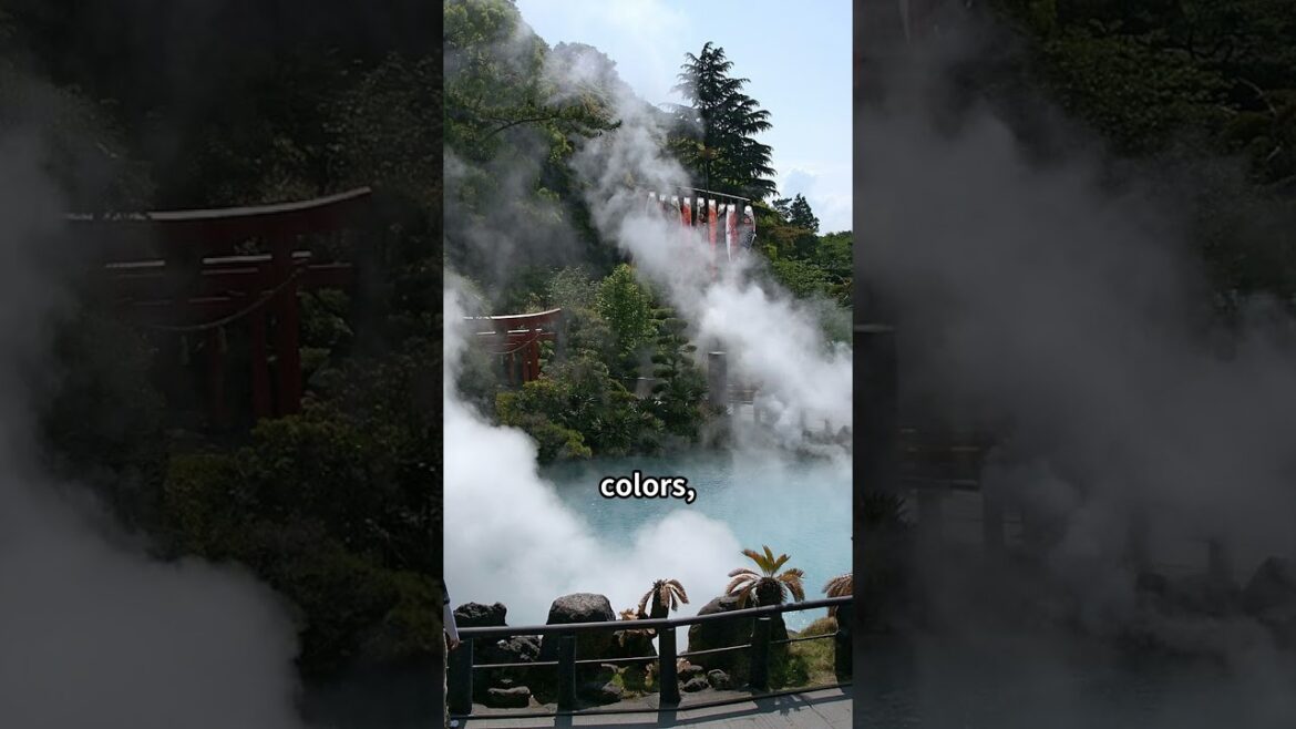 【JAPAN】Must Go Places Oita(大分) Jan2025 #bestplacestotravelinjapan 【JAPAN】Must Go Places Oita(大分) Jan2025 #bestplacestotravelinjapan