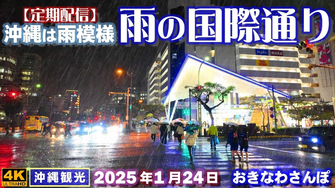 ◤沖縄旅行☂雨の日もOK◢ 定期配信『1月下旬、雨の国際通り』♯915 おきなわさんぽ Late January, Kokusai Street in the rain in Naha city.