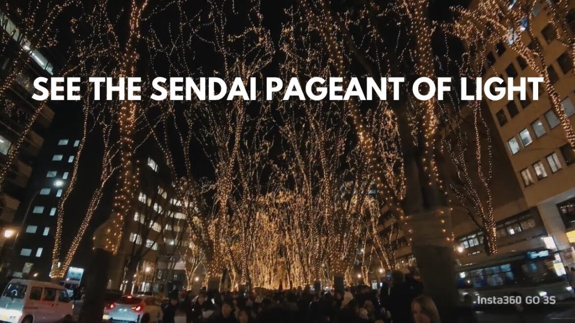 insta360】See the Sendai Pageant of Starlight