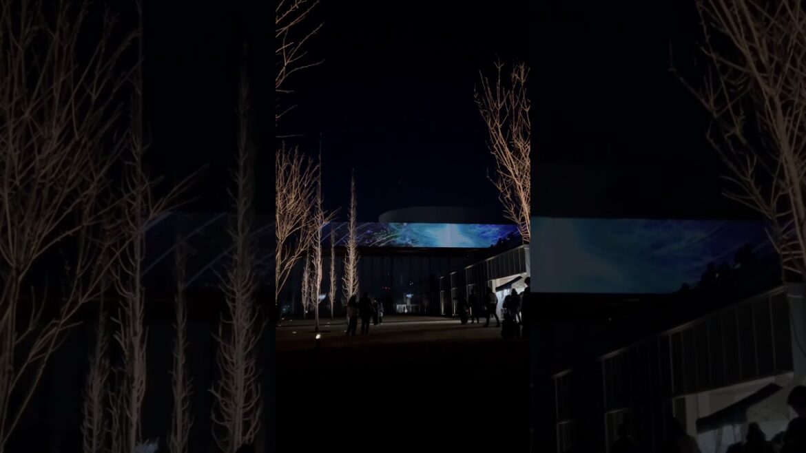 #豊田市 #博物館 #豊田市博物館 #プロジェクションマッピング #projectionmapping