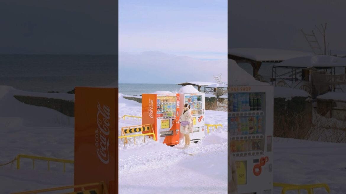 삿포로 근교 일본 소도시여행 추천 오타루 가는 길에 함께 가기 좋은 기찻길 여행지 아사리역